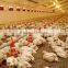 High Quality Automatic Broiler Poultry Farming Equipment
