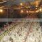 Top quality automatic poultry farm equipment for broiler