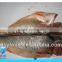 Frozen Mexican yellow croaker fish on sale