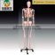 180/84/42cm Human Anatomical Skeleton Model                        
                                                Quality Choice