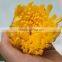 Elegant in smell top sell fresh elegant chrysanthemum