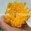 Pure and mild flavor hot selling fresh single chrysanthemum