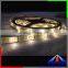 Adjustable led strip WW+CW, led lights Pink + Amber avaliable led strip light DC12V