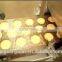Small capacity mini size low price about electric biscuit processing machine