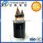 6|10kV CU|XLPE|PVC|PE Medium Voltage Power Cable