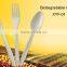 Biodegradable disposable plastic tea spoon:XYFS-01