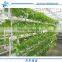 Hot saled cheap PE Plastic Film Greenhouse