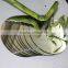 1.8mm sheet glass aluminum mirror