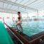 China plant direct sales 6mm heavy density swimming pool pvc s mat