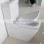 European standard wash down two piece toilet button dual/toilet bowl B2051A