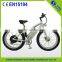 Brushless Motor 28 inch electric cheap electric bike with fat tire