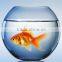 Decorative Ball Shape Fish Bowl Clear Glass Fish Bowl