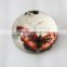 Elegant Dome Glass butterfly patterns Paperweight With insect Picture