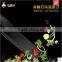 Service China Ceramic Knives For Black Ceramic Knife