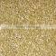 PP Material Long Cut Pile Fantasy Carpets