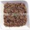 Organic Golden Tips Tea leaves