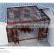 Beautiful Design& Heavy-Duty 2mm Toughed Glass with Construction Greenhouse