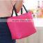 600D Promotion Printing Cooler Bag Foil Linner