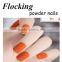 Velvet Nylon Flocking Powder For Nail Art / Crafts, 12-Pack With Bonus Double-Sided Clear Adhesive