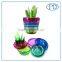 10 sets Multi Kitchen Tool Set fruits plant