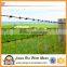 antique barbed wire for sale