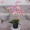 high quality decorative artificial plant butterfly orchid flower for wholesale