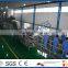 apple and pear fruits processing line