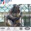 High Quality Zoo mesh / PVC Coated Chain Link Fence