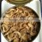 High-quality All Size Canned Mushroom On Hot Sale