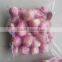 Small Onion Peeled Shallot