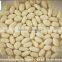 white blanched peanut kernel/blanched peanut kernels in long shape/runner blanched peanuts