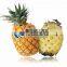 Fruit Peeler Pineapple Skin Removing Coconut Peeling Machine