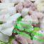shellfish quick freezing freezer/shrimp quick freezer/seafood quick freezer