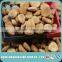 Wholesale Price Apricot Kernel Seed for Sale
