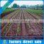 hdpe water pipe drip irrigation from China manufacturer