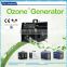 CE 3g 5g 6g 7g water treatment oxygen source ozonizer for vegetables and fruits