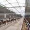 Livestock Metal Fence Panel / Deer Farm Fencing / Farm Guard Field Fence