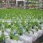 PVC Pipe Hydroponic System with Top Quality