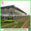 Commercial Steel Frame Venlo Polycarbonate Greenhouses for Sale