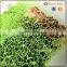 new style poly web deco mesh for flower packing