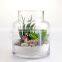 2017 popular color spray glass vase/colored glass plant terrarium