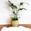 Nature seagrass belly baskets/ Eco-friendly seagrass laundry baskets