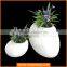 Durable Shopping Mall Decorate Fiberglass Flower Pots
