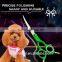2017 Latest style 440C beauty equipment safety pet grooming scissors for dog pet