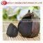 Organic Black Garlic Extract Pure Natural Black GarlicPowder