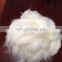 Chinese sheep wool open tops 19.5mic/45mm for woollen spinning
