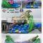 Cool coco inflatable water slide