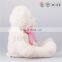 wholesale personalized bears teddy bear