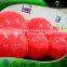 New Product Zygote Ball Inflatable LED luminous Zygote Balloons Lights Touch Control Interactive Party Balloon
