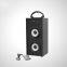 Wooden portable active party speaker with FM radio and remote control function